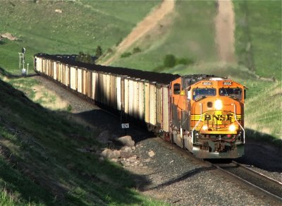 Coal train making the grade west of Livingston with MRL ACe helpers cut in.  5/28/09