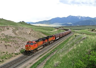 Grain train climbing out of Livingston, MT. 5/30/09