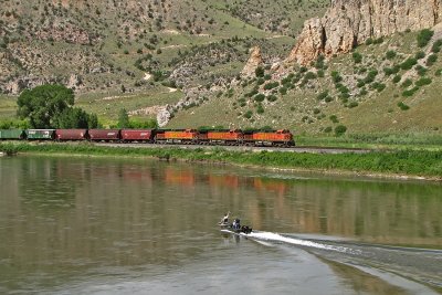 BNSF 4447 on the grain 'lite' pass the skipper and his faithful crew in Lombard Canyon, MT. (7/11/10)