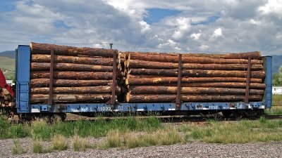 MRL 61032 - Townsend, MT (7/12/10)