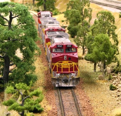 BNSF 852 through our jungle.