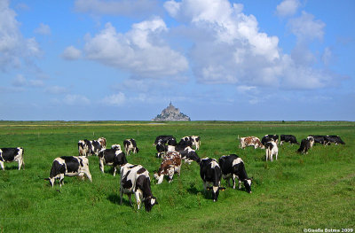 Mont st. Michel