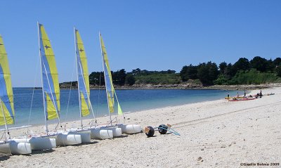 sailing boats