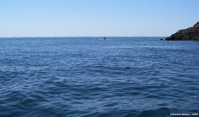 open water