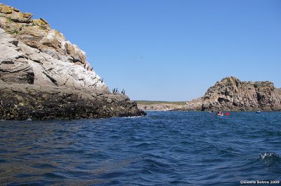 watched by the comorants on the rocks