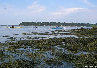 low tide