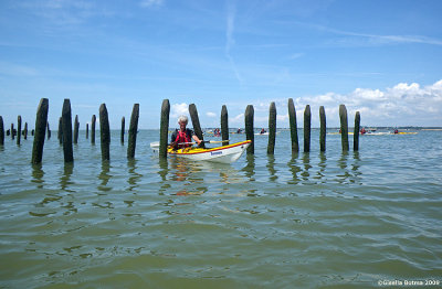 paddling through the artificial oisterbanks