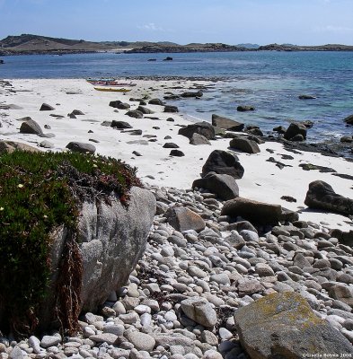 pebblestones on the beach