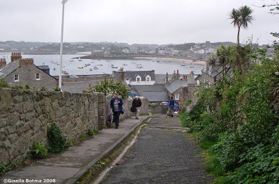 view over the harbour