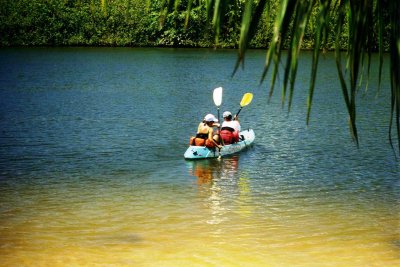 Wailua River Kayaking 02.jpg