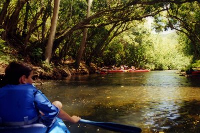 Wailua River kayaking 03.jpg