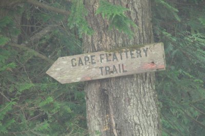 Cape Flattery trail 01.JPG