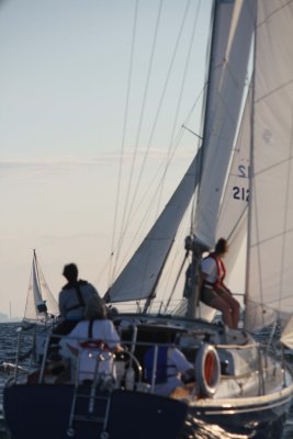 IMG_0056RR.jpeg