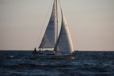 IMG_0077RR.jpeg