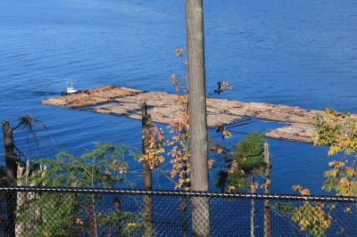 Stanley Park, Vancouver