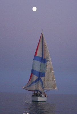 IMG_0038R.jpeg