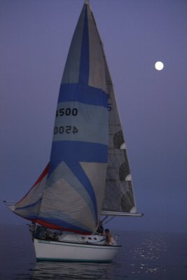 IMG_0041R.jpeg