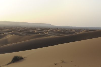 Sahara