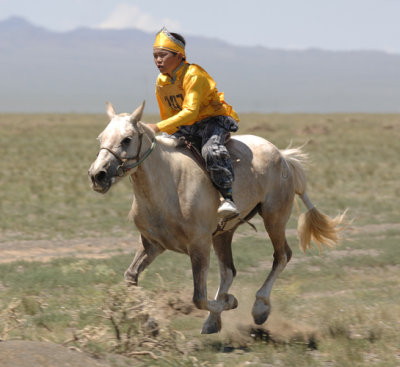 Horse Race - Dalanzadgad Naadam