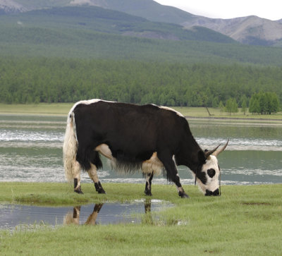 Lake Hovsgol