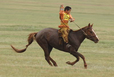 Horse Race - Ulaanbaatar Naadam