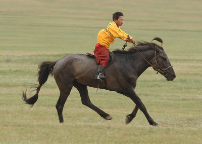 Horse Race - Ulaanbaatar Naadam