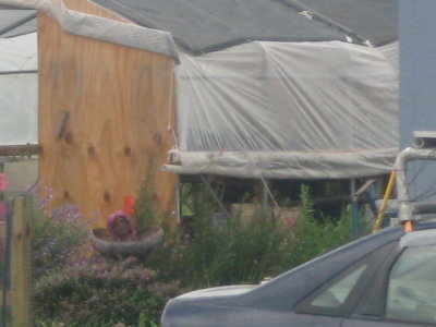 nolamay52009 309.jpg