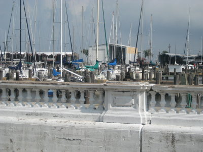 Municipal Yacht Harbor, West End, May 2009