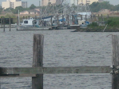 View from West End Harbor to temporay home of Bucktown fleet.