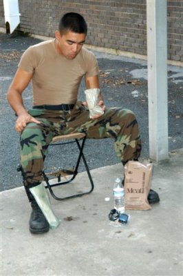 army6.jpg