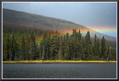 An Incredible Rainbow