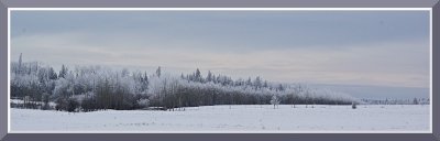pano.JPG