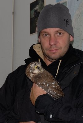 Tengmalms Owl and I.