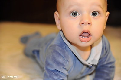 My nephew (evolution)