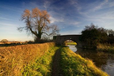 Bridge 81