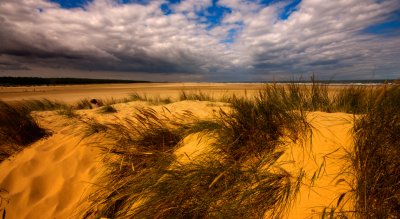 Holkham Beach 3
