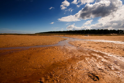 Low tide
