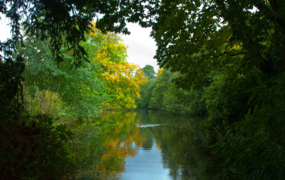 A view of the Trent