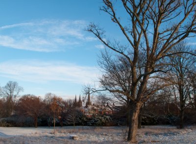 Festival gardens
