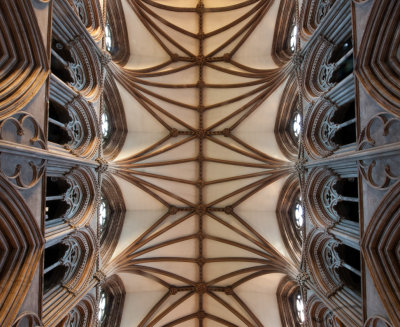 Cathedral roof detail