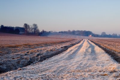 A Morning Walk