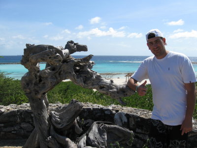 Aruba 2009