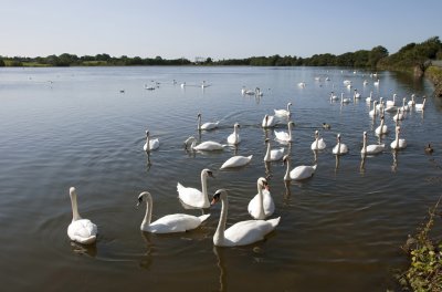 Lough Aderry
