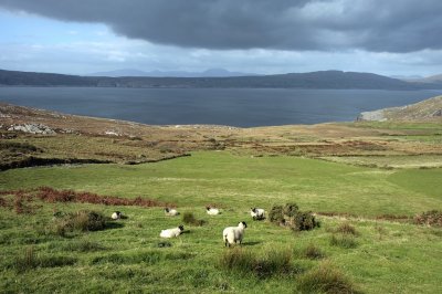 View on the Dunmanus Bay
