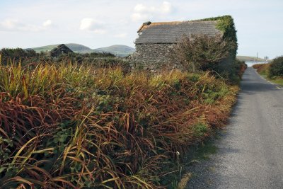 Little barn