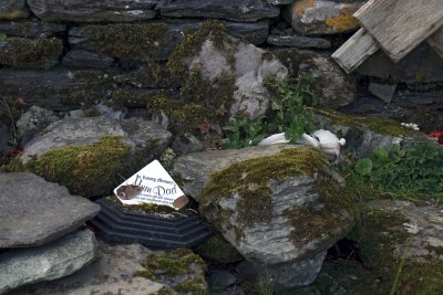 In Loving Memory (Srugreana Old Graveyard)