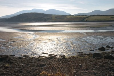 Ebb tide in backlight