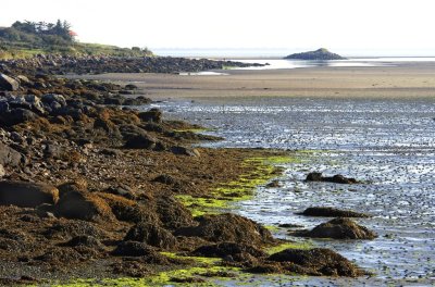 Colorfull shoreline of the Brandon Bay