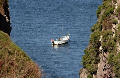 White boat