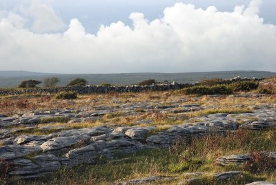 Poulnabrone Dolmen area in the late afternoon